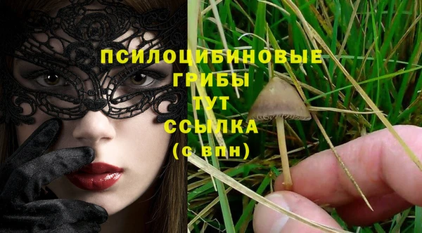 молекула духа Сафоново