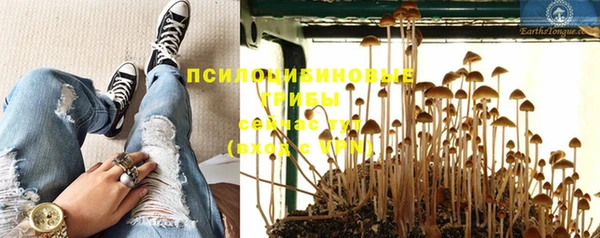 гашиш Богданович
