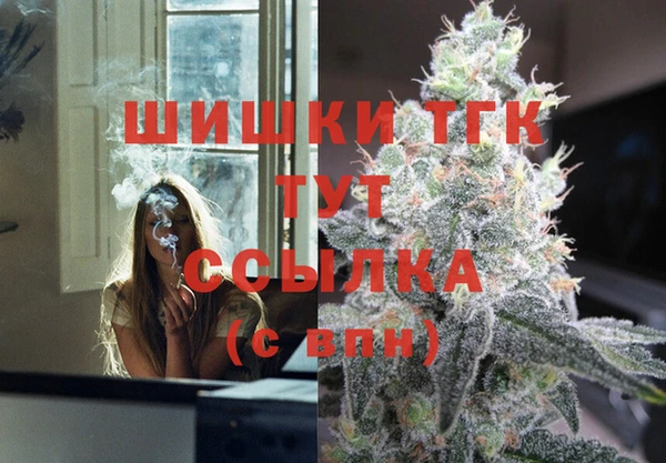 гашиш Богданович