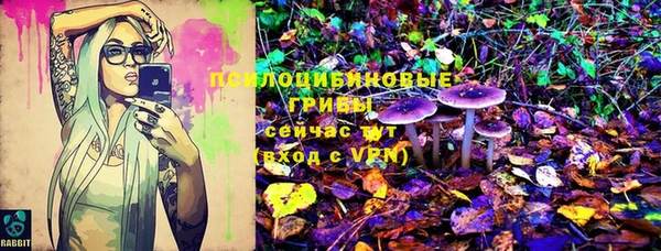 гашиш Богданович