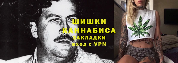 гашиш Богданович