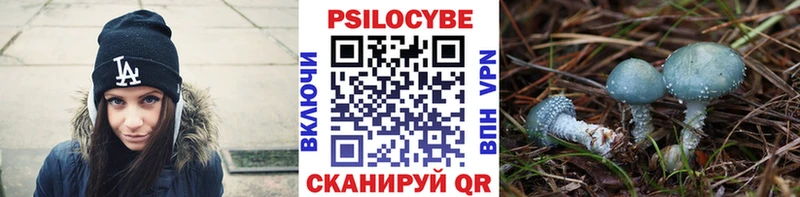 где продают наркотики Тогучин Псилоцибиновые грибы ЛСД